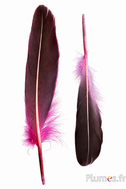 Eend - 18-20 cm, links en rechts - zalm-roze-zwart
